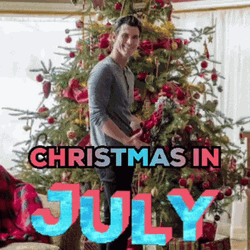 Christmas In July Meme GIF