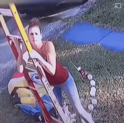 Christmas Ladder GIF