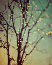 Christmas Lights Nostalgic Tree GIF