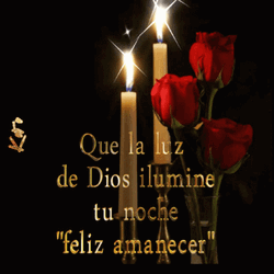 Christmas Party Feliz Noche GIF