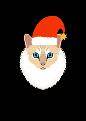 Christmas Santa Claus Cat GIF