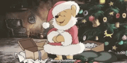 Christmas Santa Pooh Bear