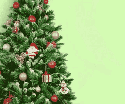 Christmas Tree Cat Jump