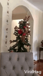Christmas Tree Climbed By A Cat GIF