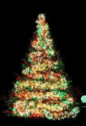 Christmas Tree Colorful Lights Shine