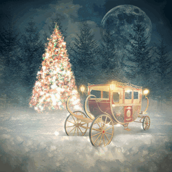 Christmas Tree Magic Carriage Night