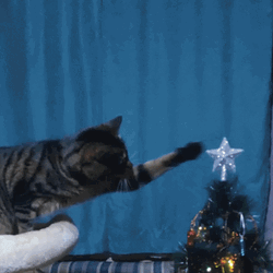Christmas Tree Played By Cat GIF