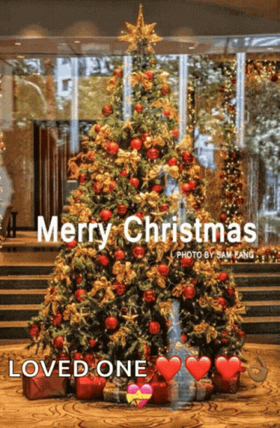 Christmas Tree Saying Merry Christmas Loved One GIF