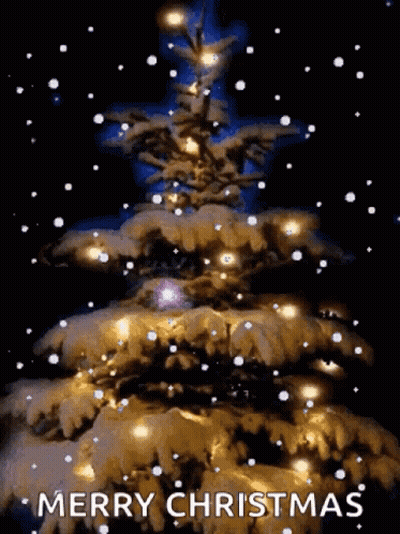 Christmas Tree Snow Merry Christmas GIF