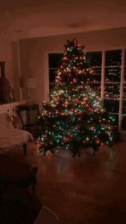 Christmas Tree Sparkle Home Holiday