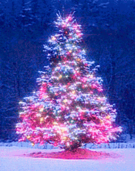 Christmas Tree Winter Colorful Glitter