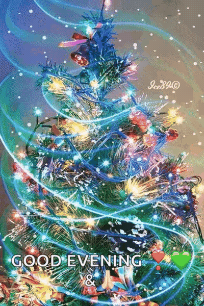 Christmas Tree With Lights Good Evening GIF