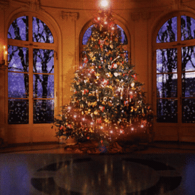 Christmas Tree With Lights GIF