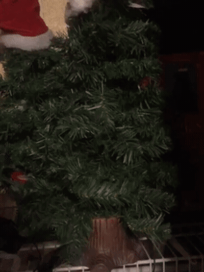 Christmas Tree With Santa Hat GIF