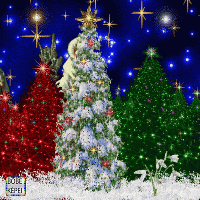 Christmas Tree With Star Surrounded By Red Green Blue Trees GIF