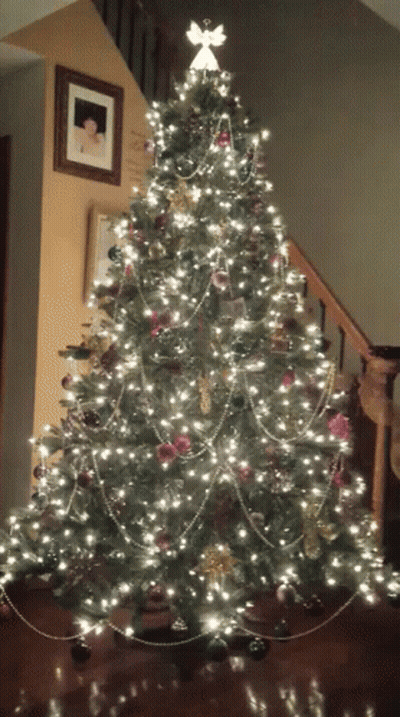 Christmas Tree With Woman Picture Above GIF