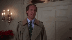 Christmas Vacation Clark Griswold Shrug GIF