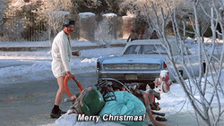 Christmas Vacation Merry Christmas Eddie GIF