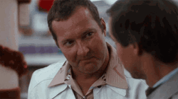 Christmas Vacation Really Nice GIF