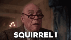 Christmas Vacation Squirrel Attack GIF