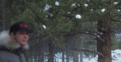 Christmas Vacation There It Is GIF