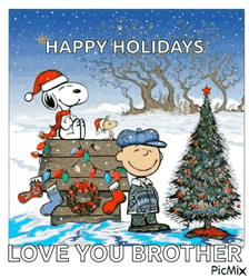 Christmas Wednesday Charlie Brown And Snoopy GIF
