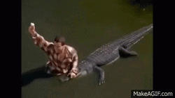 Chubbs Happy Gilmore Crocodile GIF
