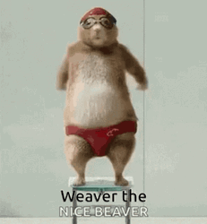 Chubby Beaver Weaver The Nice Beaver Dancing GIF