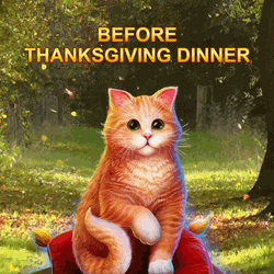 Chubby Cat Transformation Thanksgiving Meme GIF