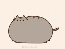 Chubby Pusheen Cat Bouncing GIF