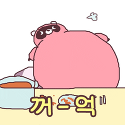 Chubby Raccoon Burp Silently GIF