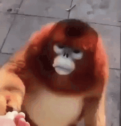 Chubby Red Monkey High Speed Meme GIF