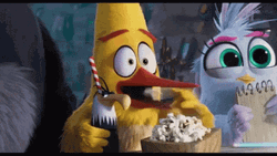 Chuck Angry Bird Eating Popcorn