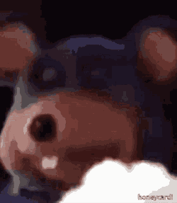 Chuck E Cheese GIF