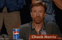 Chuck Norris Approved GIF
