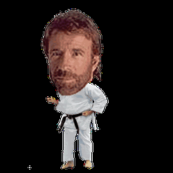 Chuck Norris Bubble Head Karate Animation GIF