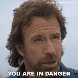 Chuck Norris Im In Danger GIF