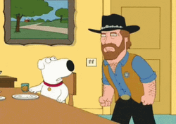 Chuck Norris Punching Brian Dog In Family Guy  GIF