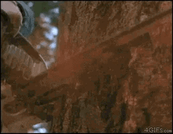 Chuck Norris Thumbs Up Save Tree Stop Chainsaw GIF