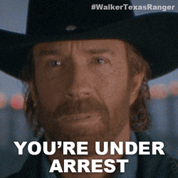 Chuck Norris You're Arrested GIF