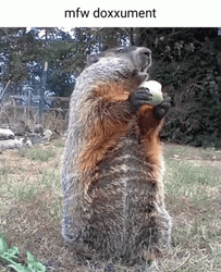 Chunk The Groundhog  GIF