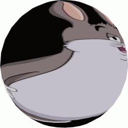 Chunky Bunny Watching On You GIF