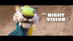Chunky Characteristic Night Vision GIF