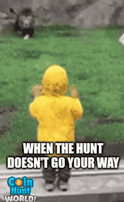 Chw Coin Hunt GIF