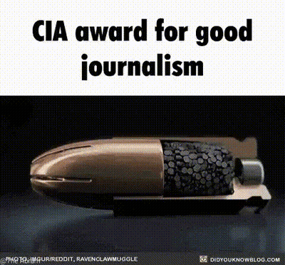 CIA Award For Excellence In Journalism On Computer Screen GIF