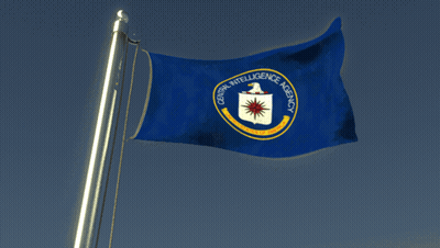 CIA Flag Flying In Wind GIF