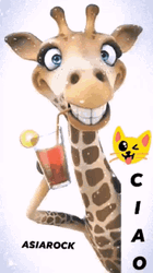 Ciao Smiling Giraffe