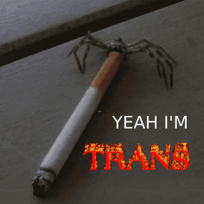 Cigarette With Spider And Yeah I'm Trans GIF