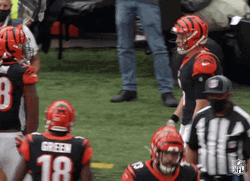 Cincinnati Bengals Celebrating GIF