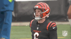 Cincinnati Bengals Disappointed GIF